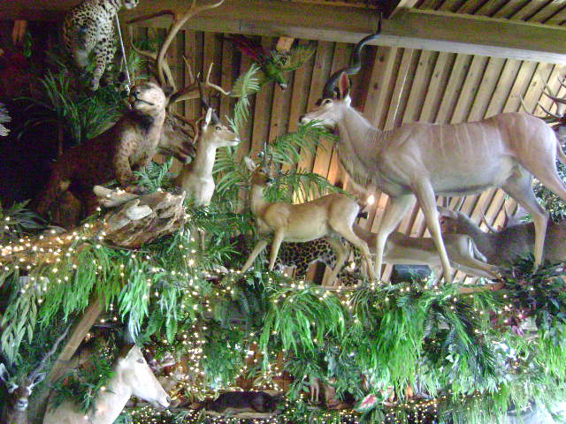 Clark's 4-20-08 019.jpg